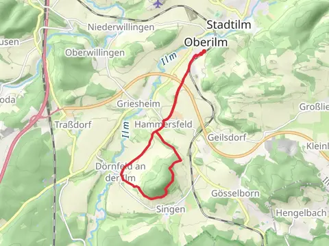 Singener Berg Loop