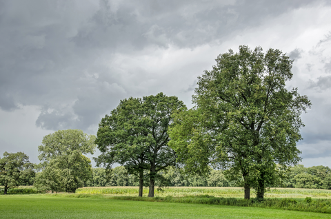 De Gunne, De Voorde and Terra nova Loop