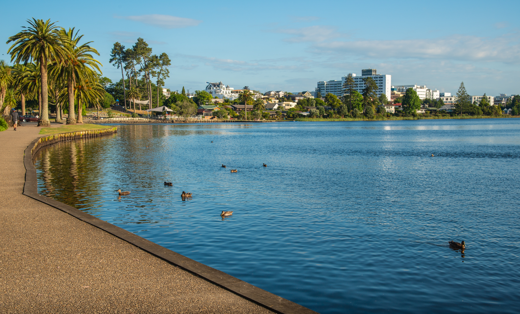 An image depicting the trail Hamilton Lake Domain Walkway and its surrounding area.