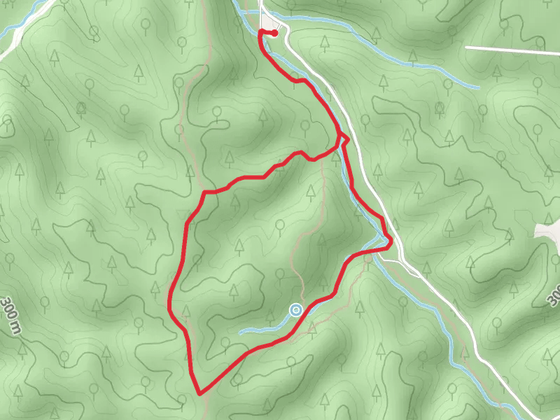 Oak Leaf - Acorn - Mushroom Loop Trail