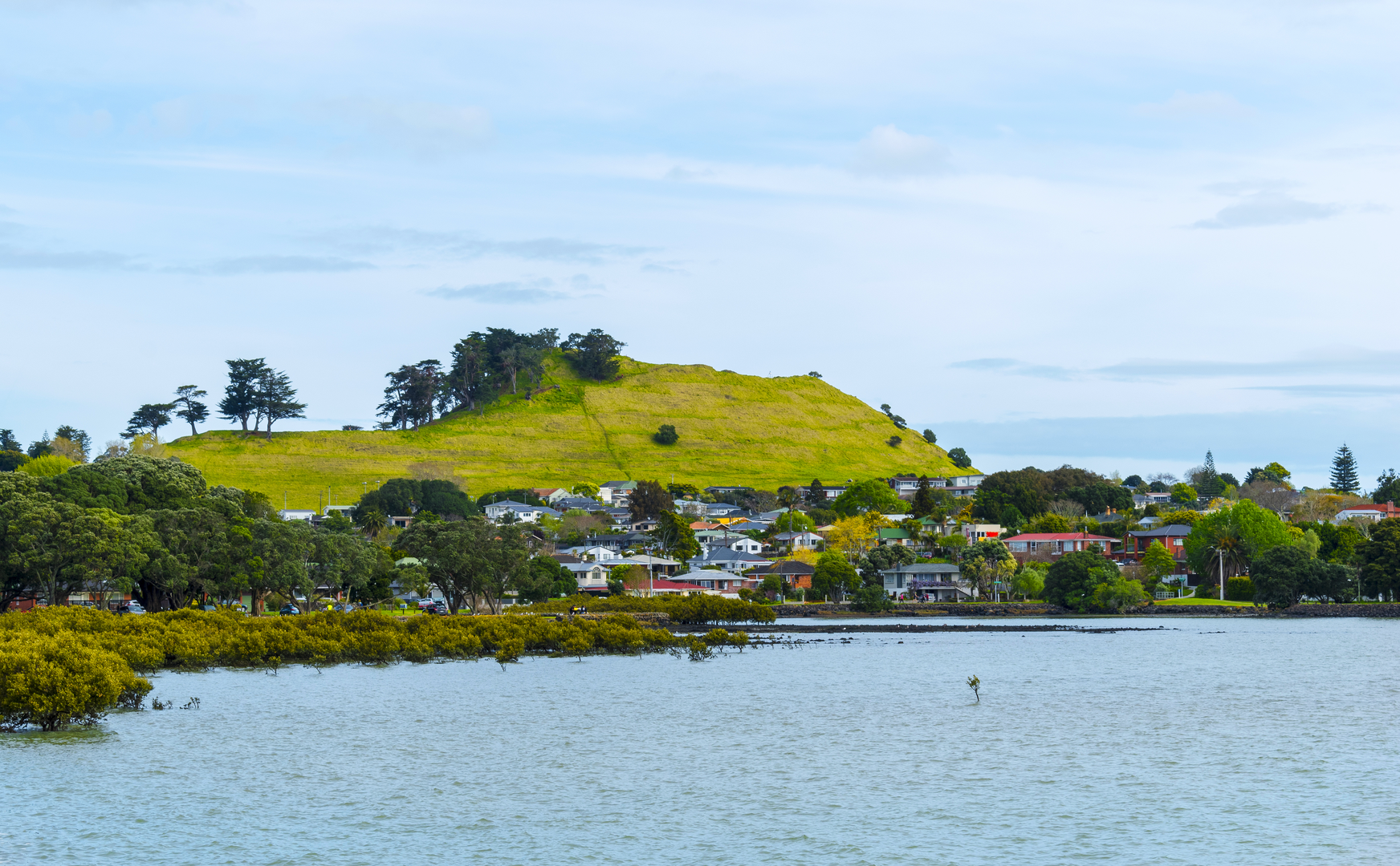 An image depicting the trail Mangere Mountain Loop and its surrounding area.
