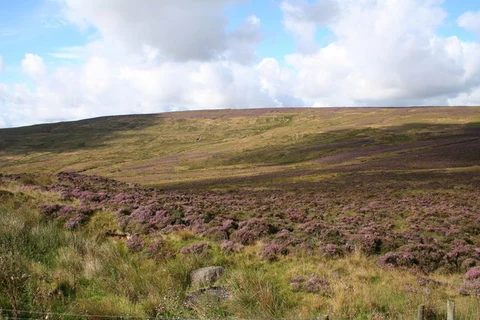 Ballypatrick Forest Loop