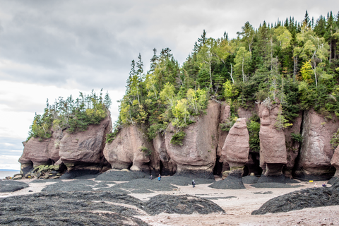 Fundy Circut