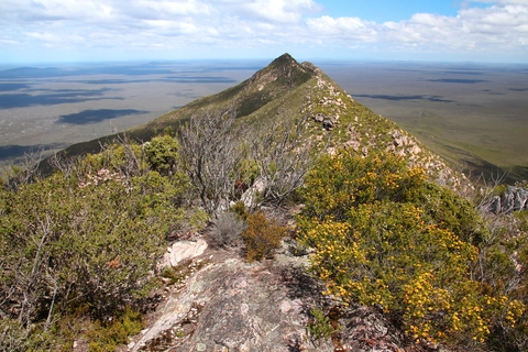 Mt Ragged Walk