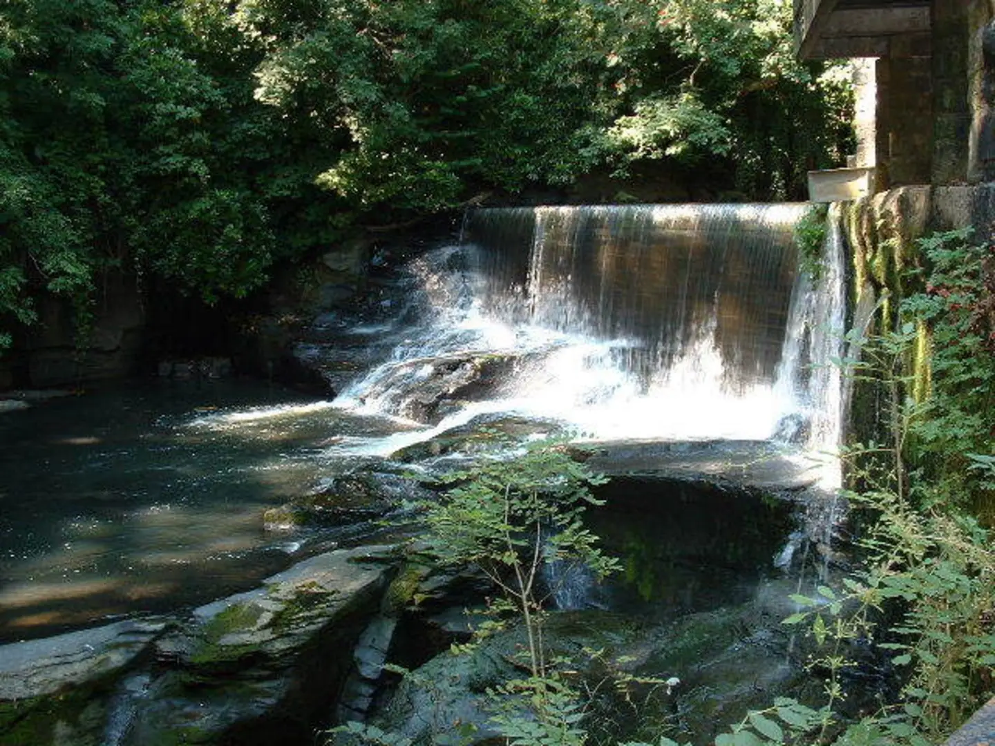 An image depicting the trail Aberdulais Falls Walk and its surrounding area.