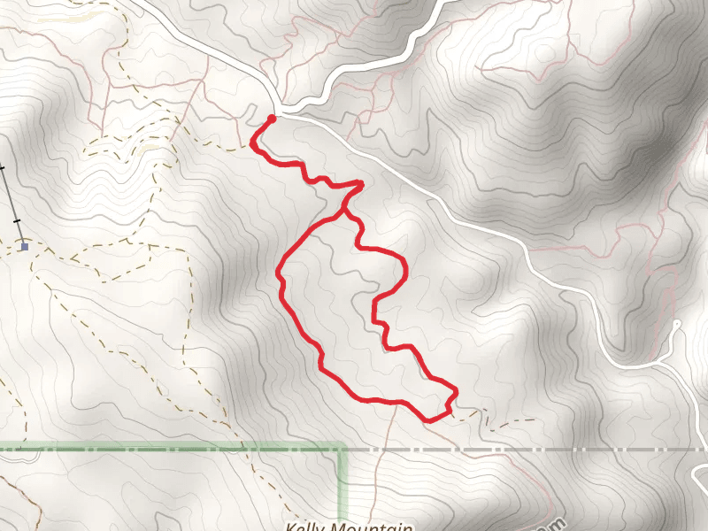 Buckhorn Spring Loop