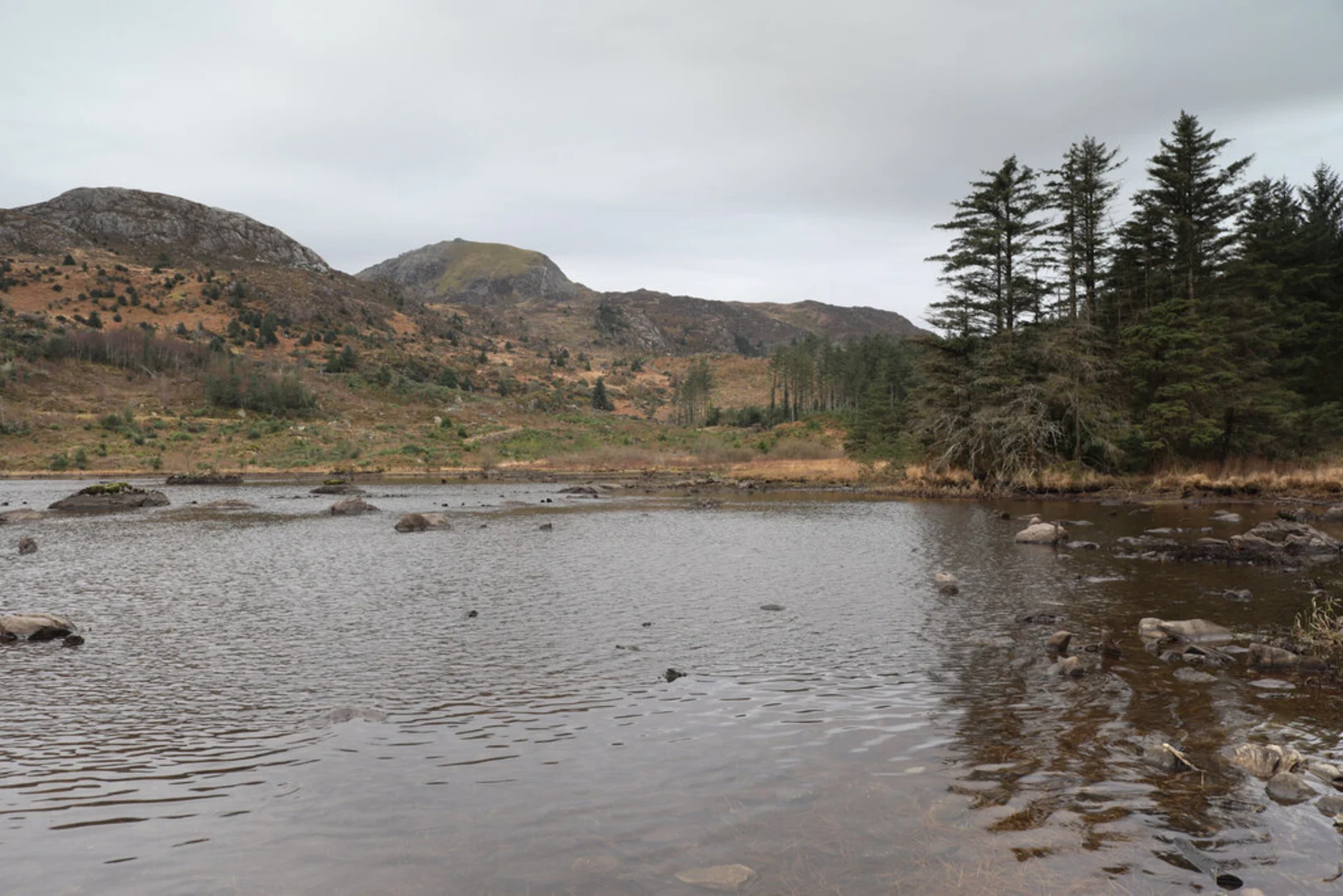 An image depicting the trail Beddgelert Forest Loop and its surrounding area.