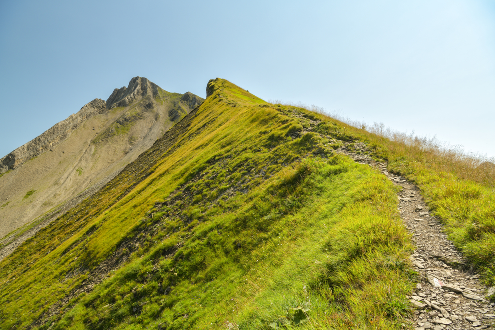 An image depicting the trail Mountain tour over Brisen and its surrounding area.