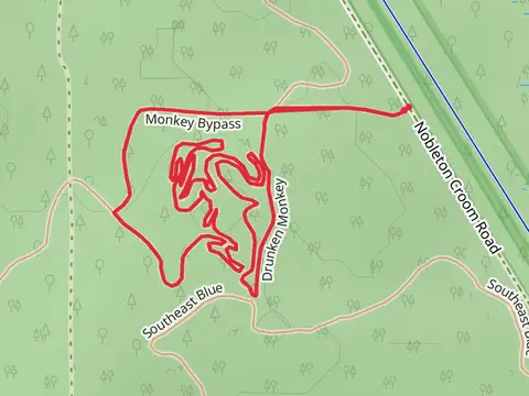 Monkey Bypass and Drunken Monkey Loop