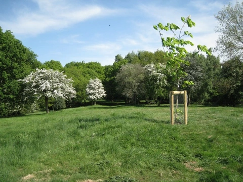 Mill Mound Walk