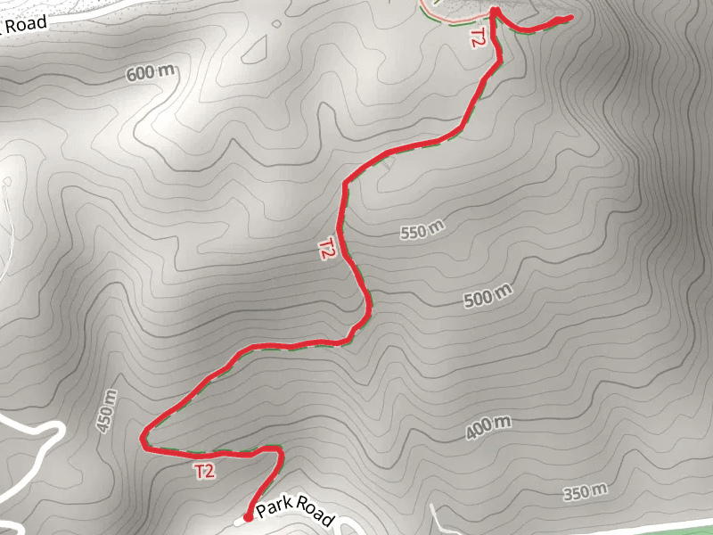 Laurel Cove Trail