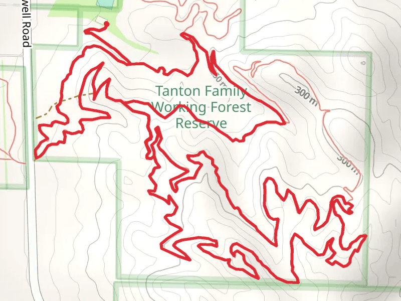 Beginner and Expert Trail Loop