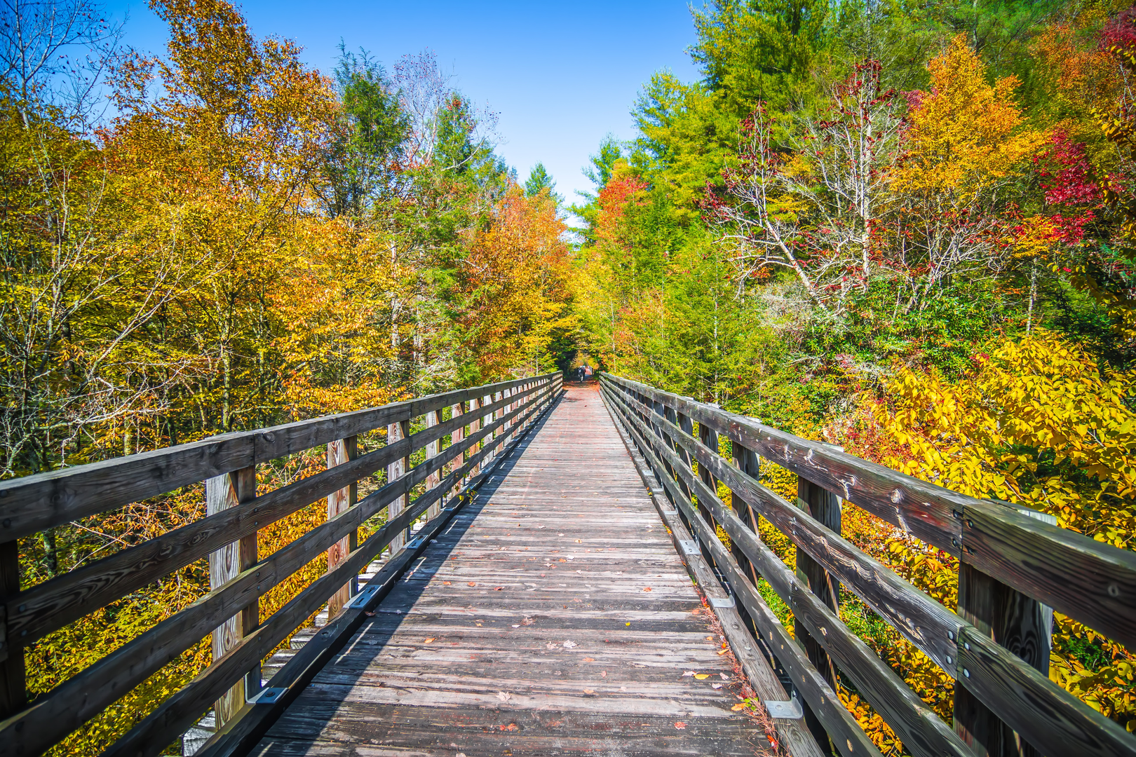 An image depicting the trail Virginia Creeper Trail and its surrounding area.