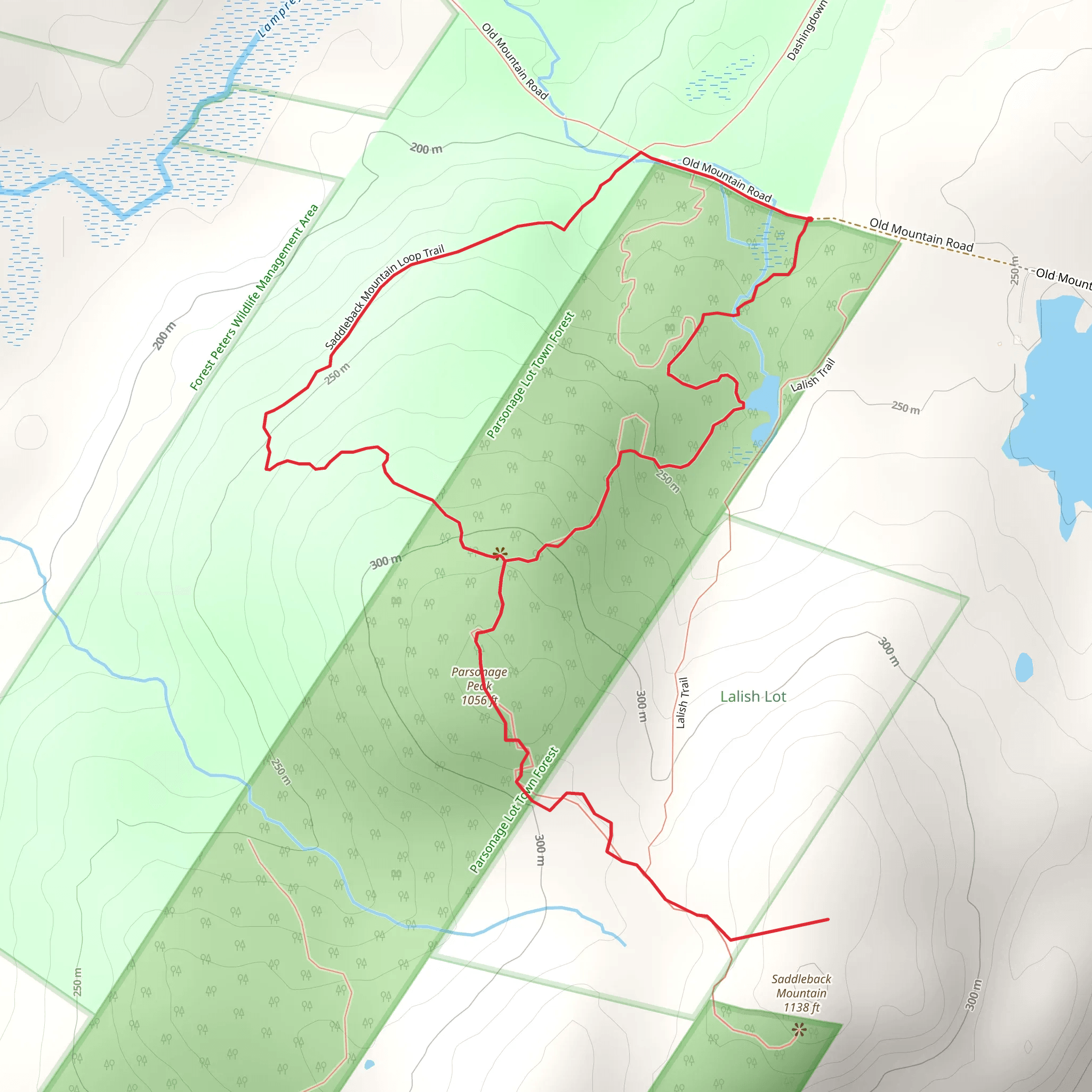 Parsonage Peak and Saddleback Mountain Loop Trail mobile static map