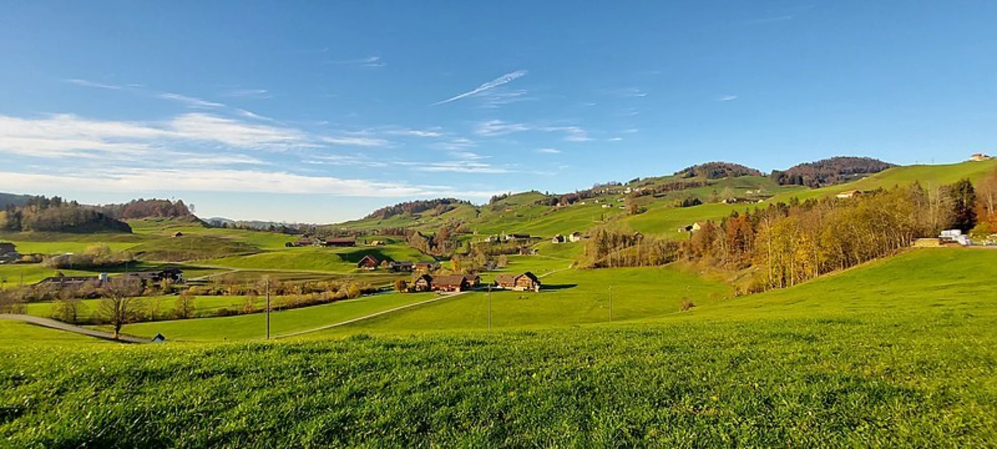 An image depicting the trail Hohen Hirschberg Loop and its surrounding area.