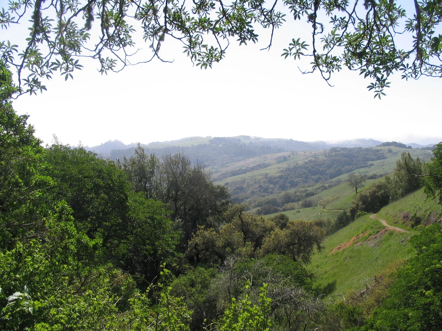 An image depicting the trail Bella Vista, Black Mountain and Canyon Loop Trail and its surrounding area.