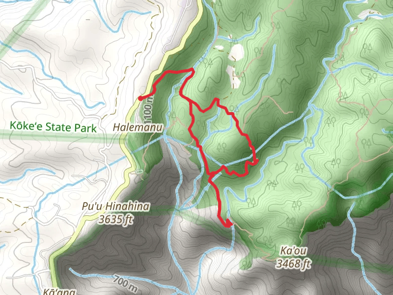 Canyon and Black Pipe Loop Trail