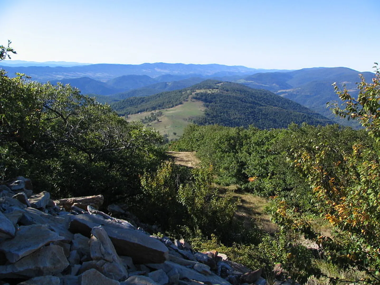 An image depicting the trail South Prong Trail and its surrounding area.