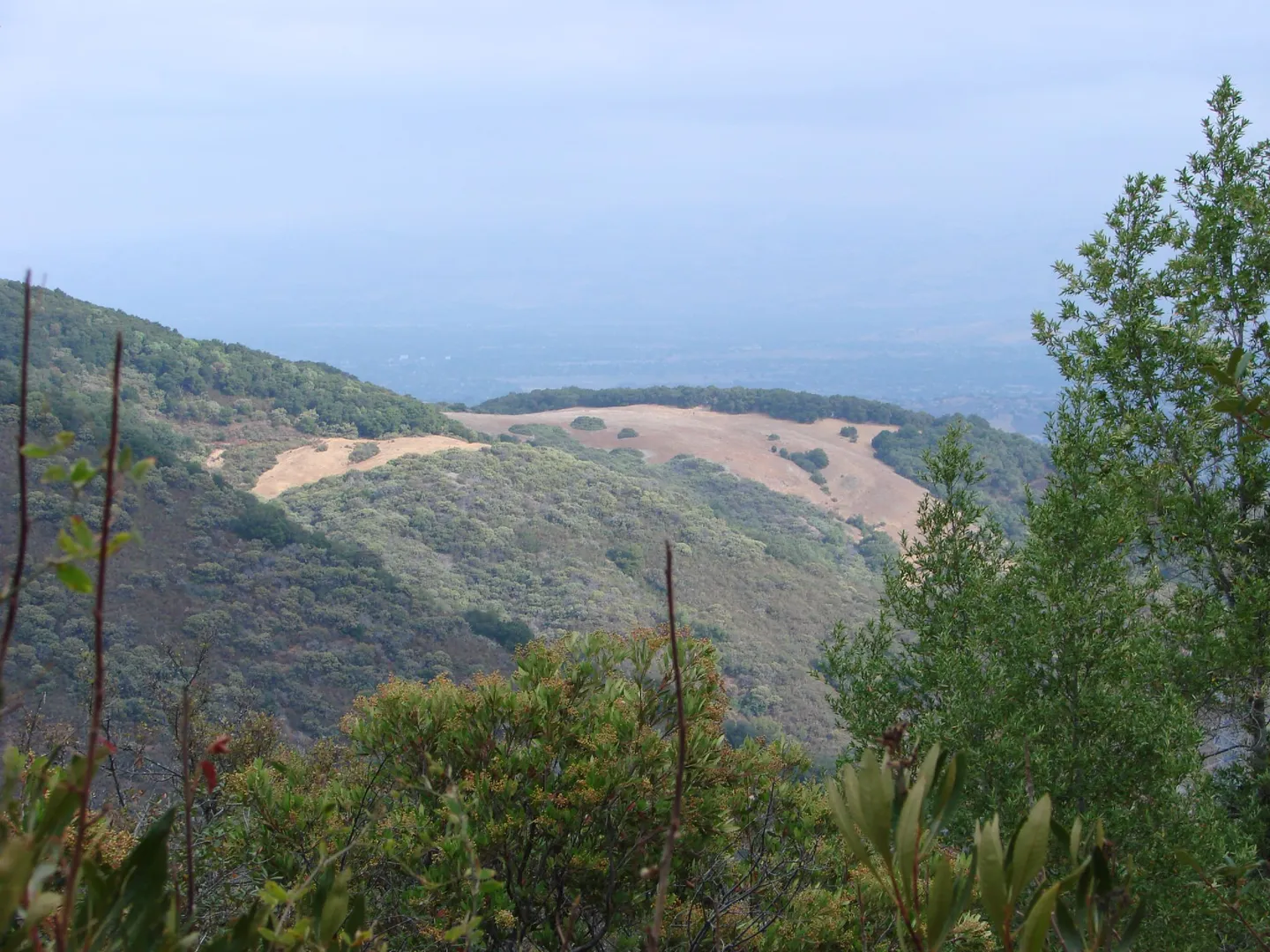 An image depicting the trail Kennedy, Priest Rock and Limekiln Loop Trail and its surrounding area.