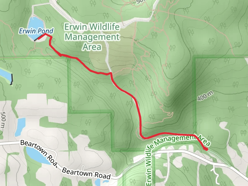 Erwin Pond from Weaver Creek Road