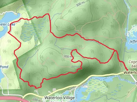 Pebble and White Loop Trail