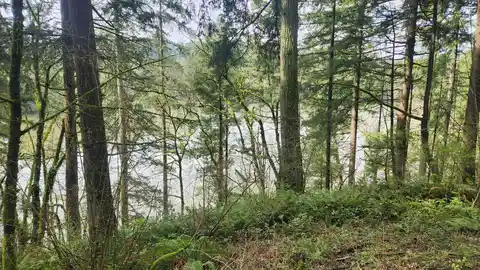 Round Lakes