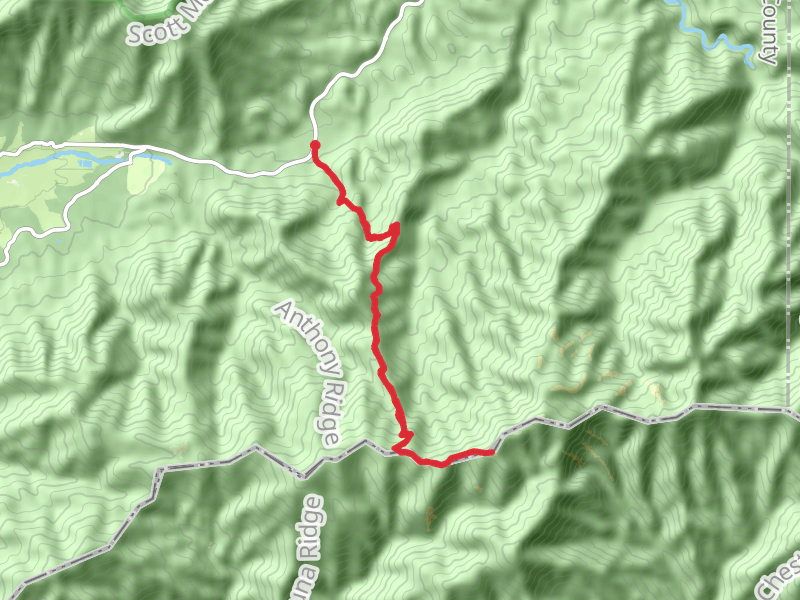 Rocky Top via Lead Cove Trail