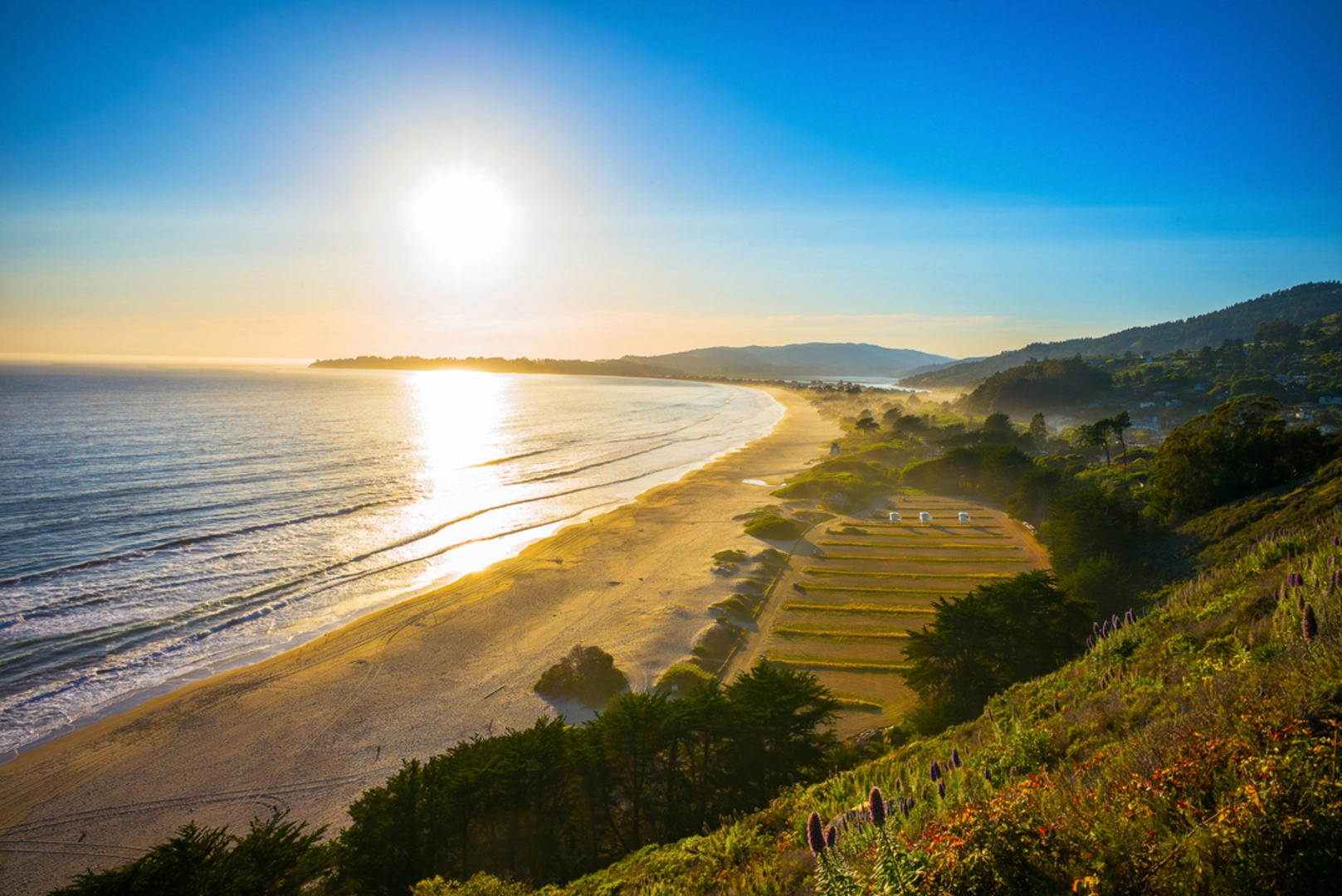 An image depicting the trail Cardiac Hill via Dipsea Trail and its surrounding area.