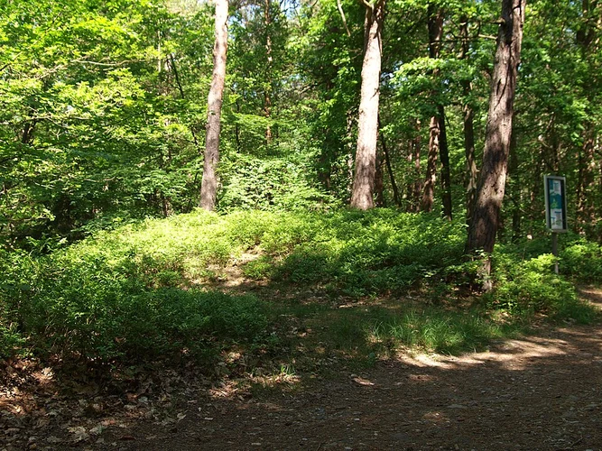 Aussicht Elbtal via Wander-Tour Wulmstorfer Heilde and Heideschleife Fischbecker Heide