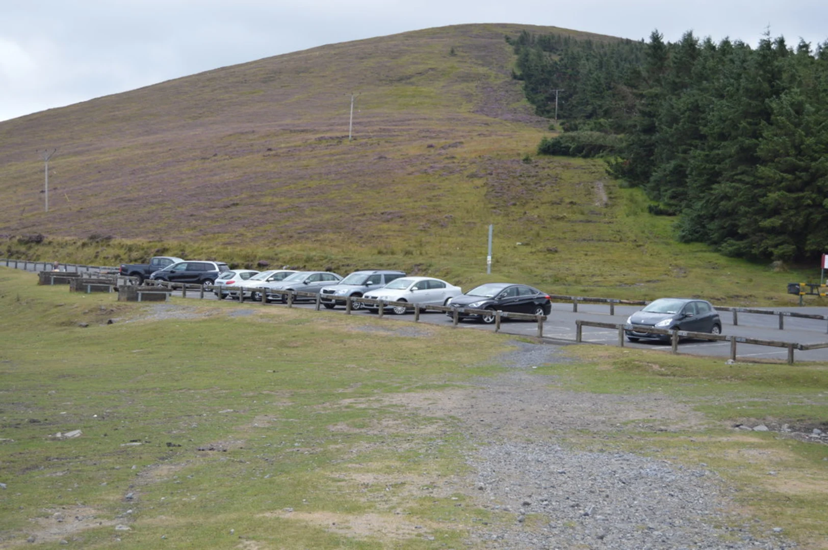 An image depicting the trail Mount Leinster and Slievebawn and its surrounding area.