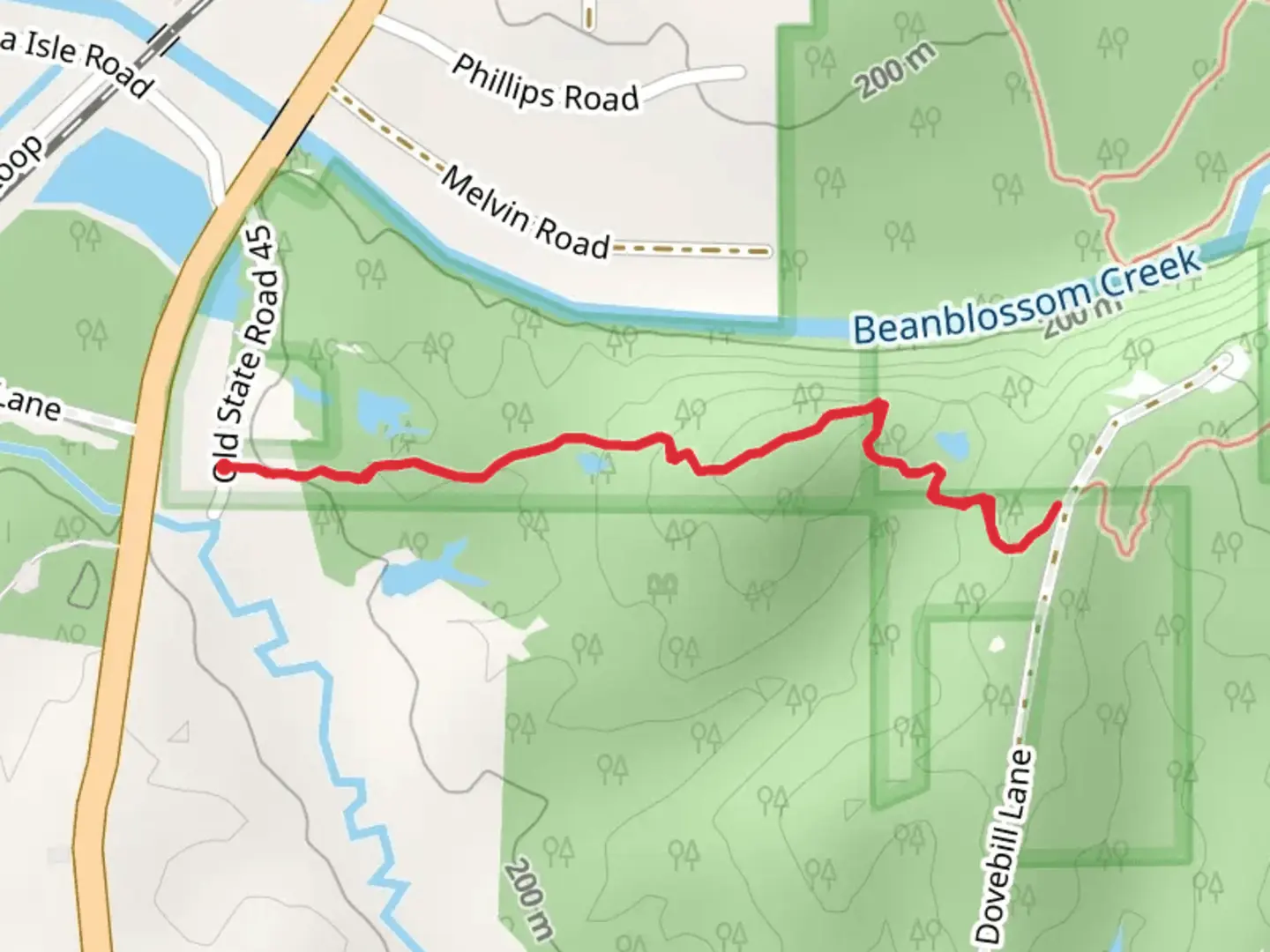 An image depicting the trail Yellowwood Trail - Short and its surrounding area.