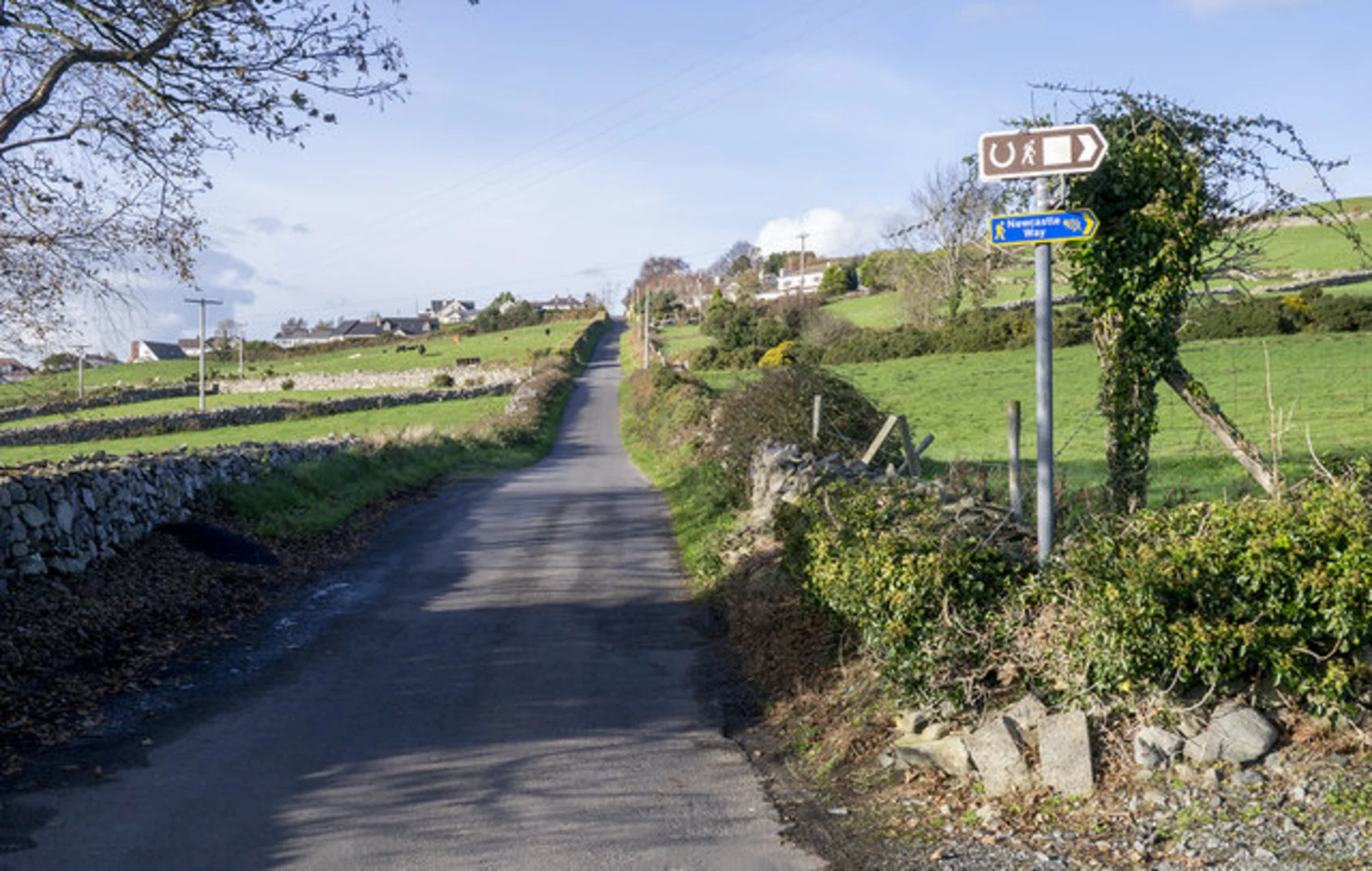 An image depicting the trail Drumee and its surrounding area.