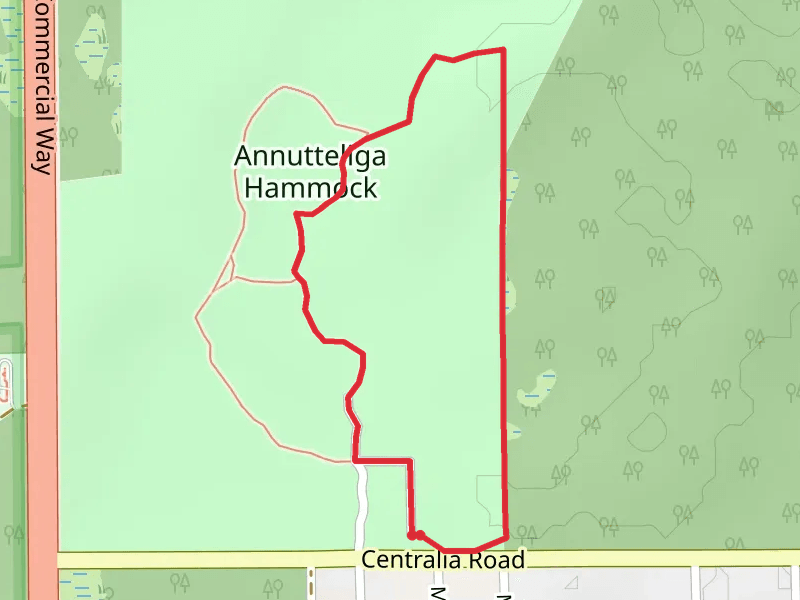 Annutteliga Hammock Loop - East