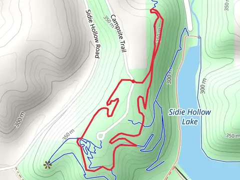 The Bobby Long Loop