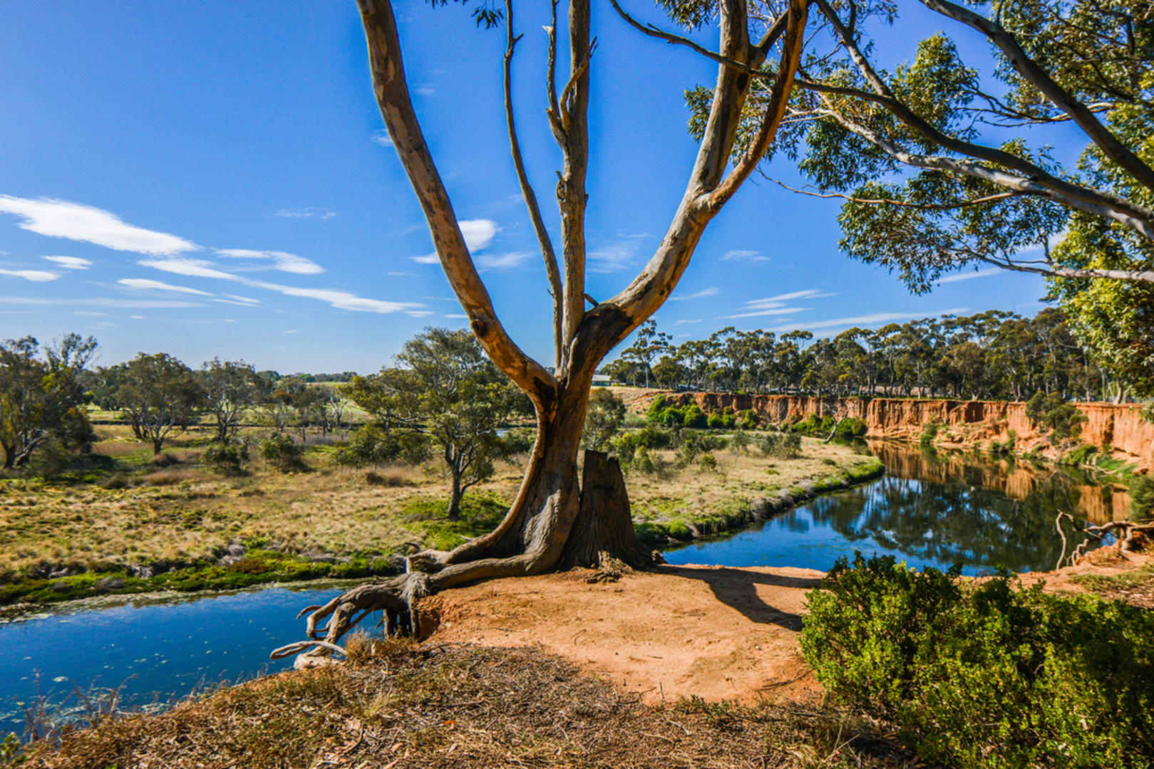 An image depicting the trail Werribee to Riverbend Park Loop Walk and its surrounding area.
