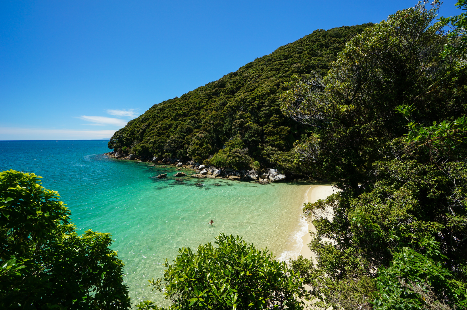 An image depicting the trail Abel Tasman Coast Track and its surrounding area.