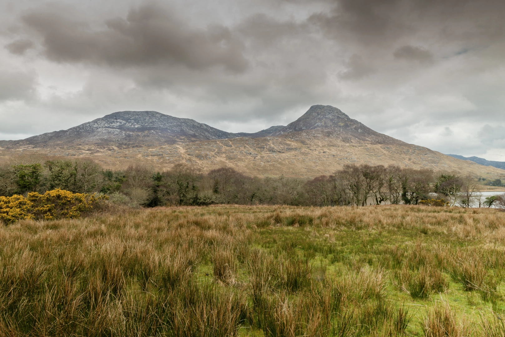 An image depicting the trail Glencorbet Horseshoe Loop and its surrounding area.
