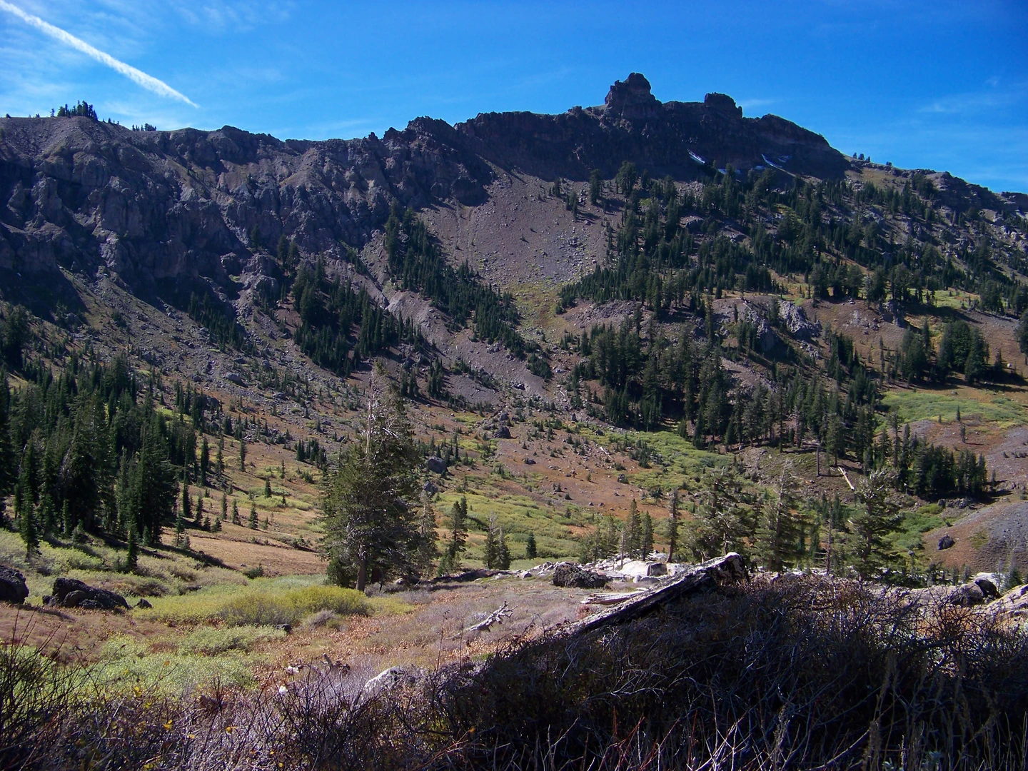 An image depicting the trail Warren Lake Trail Out and Back and its surrounding area.