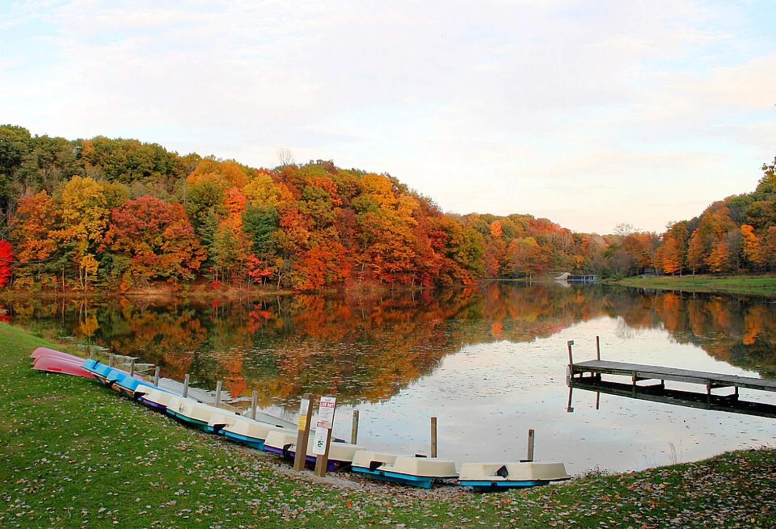 An image depicting the trail Mount Gilead Lake Loop and its surrounding area.