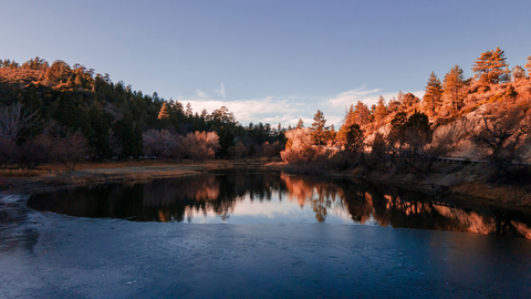 Jackson Lake Interpretive Trail