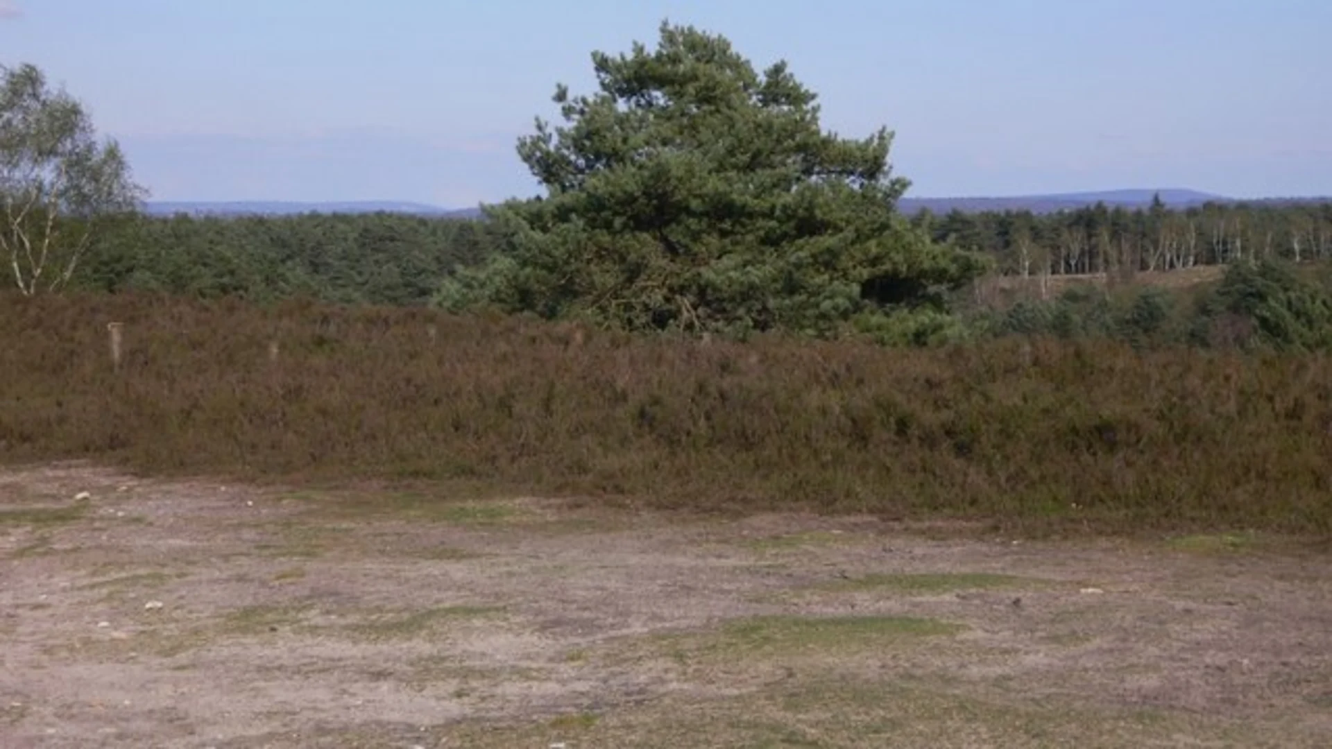 An image depicting the trail Puttenham, Hurtmore and Millford Loop and its surrounding area.
