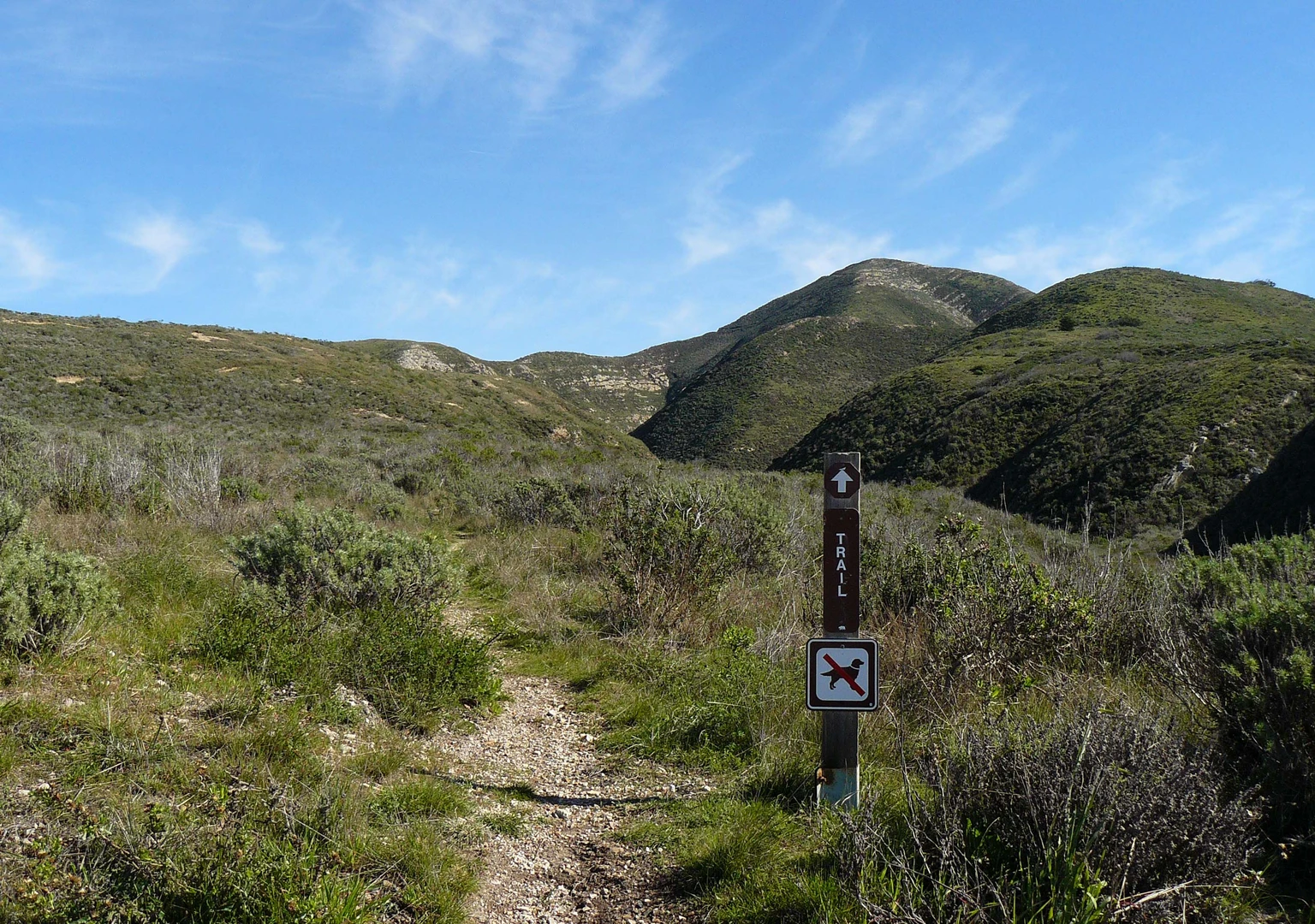 An image depicting the trail Valencia Peak Trail and its surrounding area.