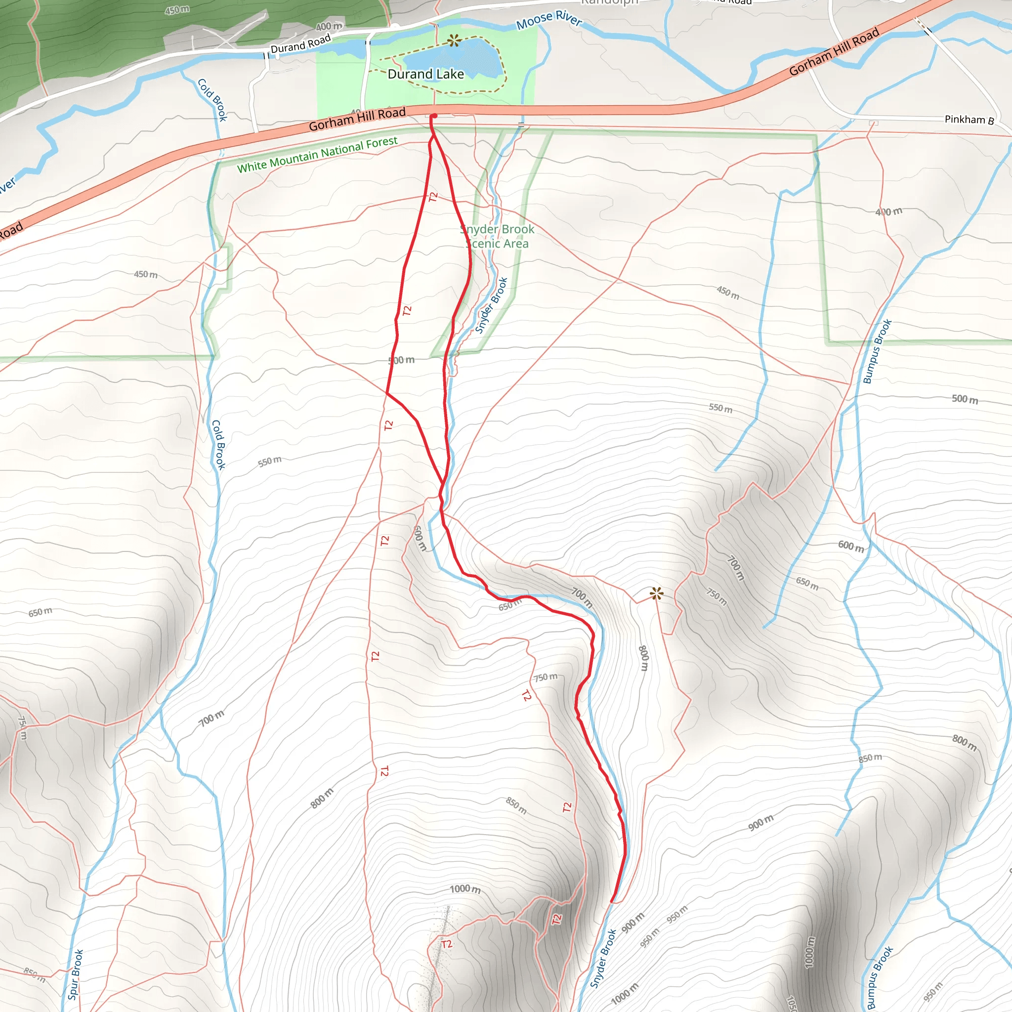Snyder Brook via Valley Way and Airline Trail mobile static map