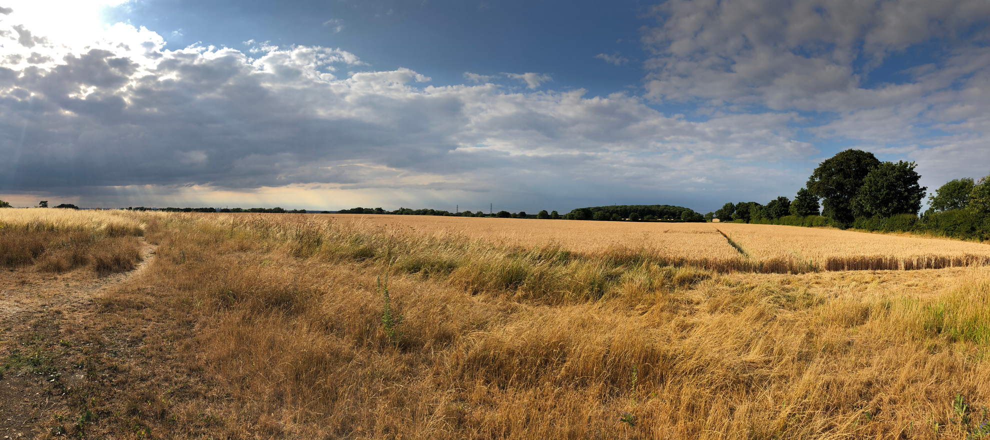An image depicting the trail Trent Valley Way and its surrounding area.