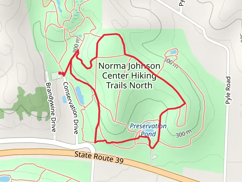 Preserve Loop