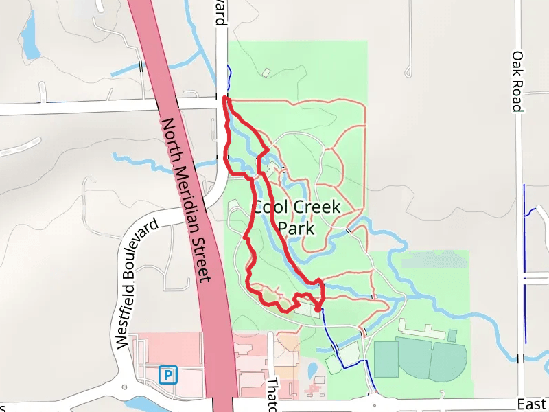 Natalie Wheeler and Beech-Tulip Loop Trail
