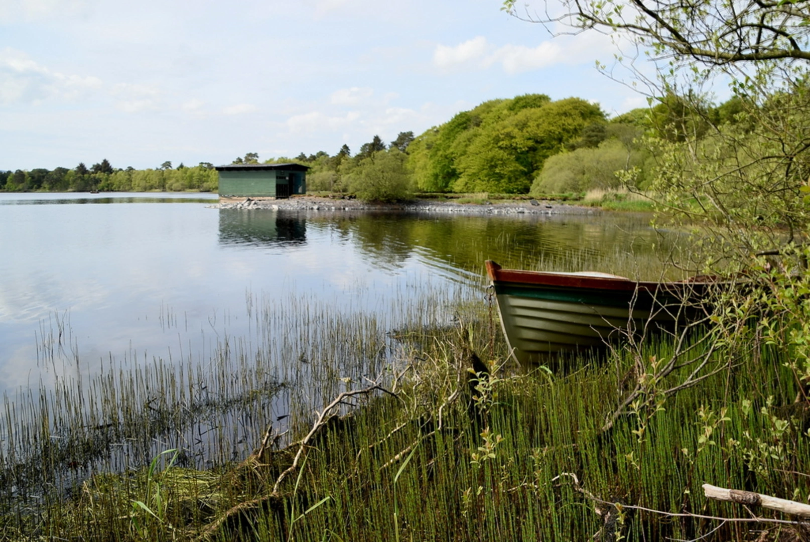An image depicting the trail Loughmacrory Lough and its surrounding area.