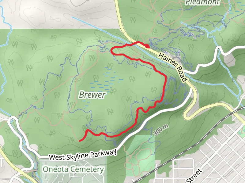Superior Hiking Trail - Haines Road