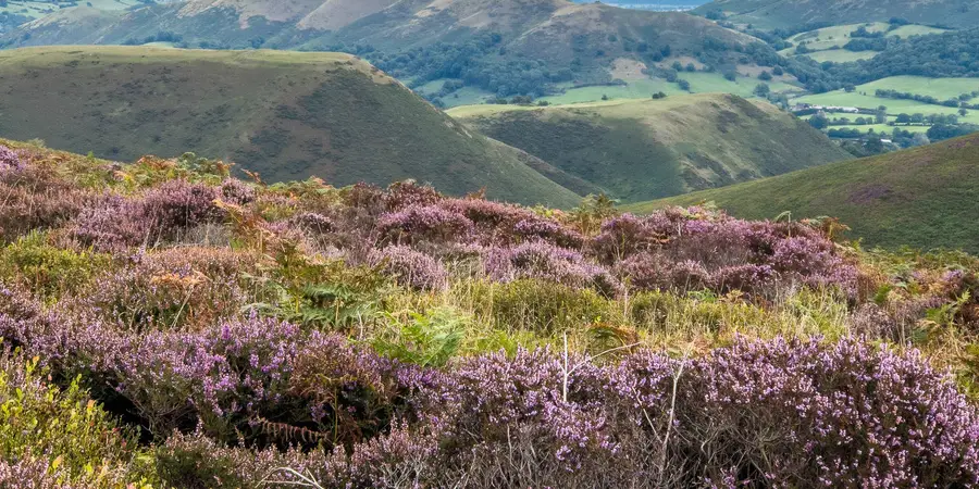 Church Stretton - Long Mynd and Wentnor