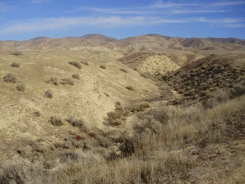 Wallace Creek Trail